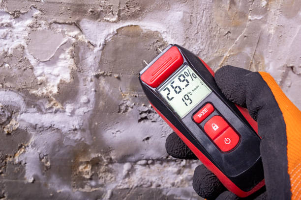 Best Mold Testing and Inspection Services in Downey, CA