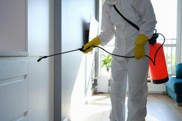 Best Commercial Mold Remediation in Downey, CA