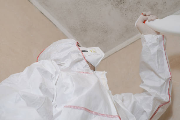 Best Bathroom Mold Remediation in Downey, CA